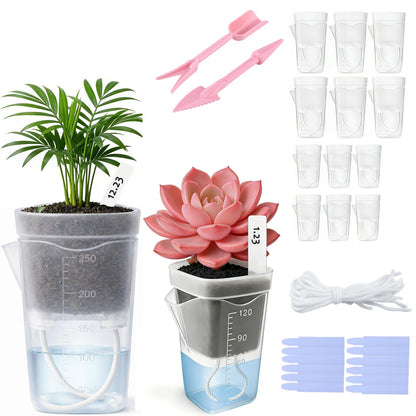 emciba 12 Pack 2.5"/2" Mini Clear Self Watering Pots for Indoor Plants with 2 pcs Transplanting Tool, Small Plastic Propagation Pots for Plants, Water Level Indicator,Drainage Hole,12 Plant Labels