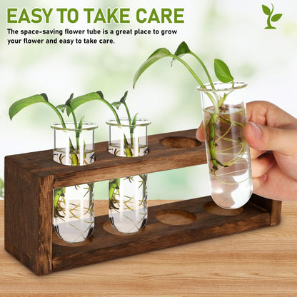 POPETPOP Plant Propagation Tubes 4pcs Glass Test Tube Vase Replacement Clear Hydroponic Flowers Vase for Home Office Desktop Decoration