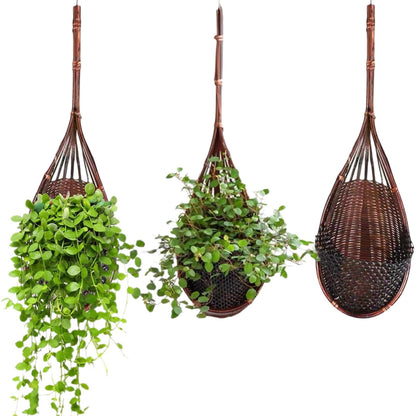 Gogeffor Hanging Orchid Planter: 3 Pack Wall Plant Pot with Adjustable Hook Breathable - 4 Inch Handmade Bamboo Flower Basket for Indoor Window Balcony Corridor Railing Garden Fence - Brown
