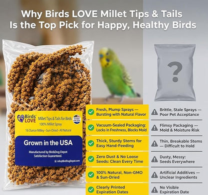 Birds LOVE Millet Tips & Tails for Birds - Parakeets, Cockatiels, Lovebirds, Finches, Budgies, Canaries, Cockatoos - Natural & Healthy Millet for Birds - Parakeet Food & Treats for All Parrots, 1lb