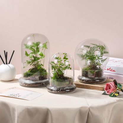 WHJY Round Glass Cloche for Indoor Plants Small Terrarium Glass Cloche with Base Mini Cloche Dome with Base for Display Home Decor