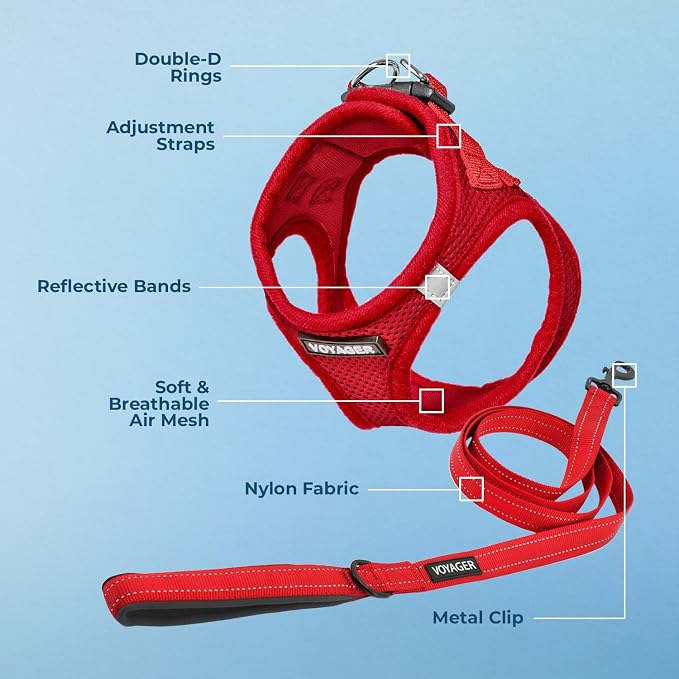 Best Pet Supplies Voyager Step-in Air All Weather Mesh Harness and Reflective Dog 5ft Leash Combo with Neoprene Handle, for Small, Medium and Large Breed Puppies - Red, XXX-Small