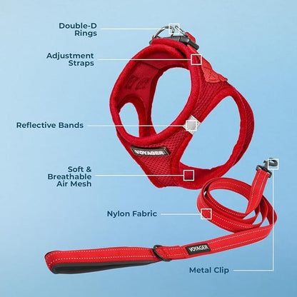 Best Pet Supplies Voyager Step-in Air All Weather Mesh Harness and Reflective Dog 5ft Leash Combo with Neoprene Handle, for Small, Medium and Large Breed Puppies - Set (Red), Large