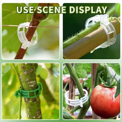 200Pcs Secured Plastic Plant Clips, New Combinable Plant Support Clips, Plant Clips for Climbing Plants, Tomato Grape Vine Vegetables Fixing Clips, Plant Clips for Trellis & Peony Cages
