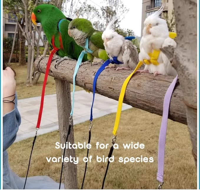 Adjustable Bird Harness with Elastic Leash, Pet Parrot Harness and Leash, Adjustable Training Design Anti-Bite, Bird Nylon Rope with Cute Wing for Conure (Orange,XL)