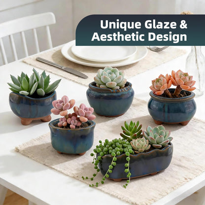 ginojex Ceramic Succulent Garden Pots Small Plant Planter Container with Drainage Set of 5 for Home Office Decor