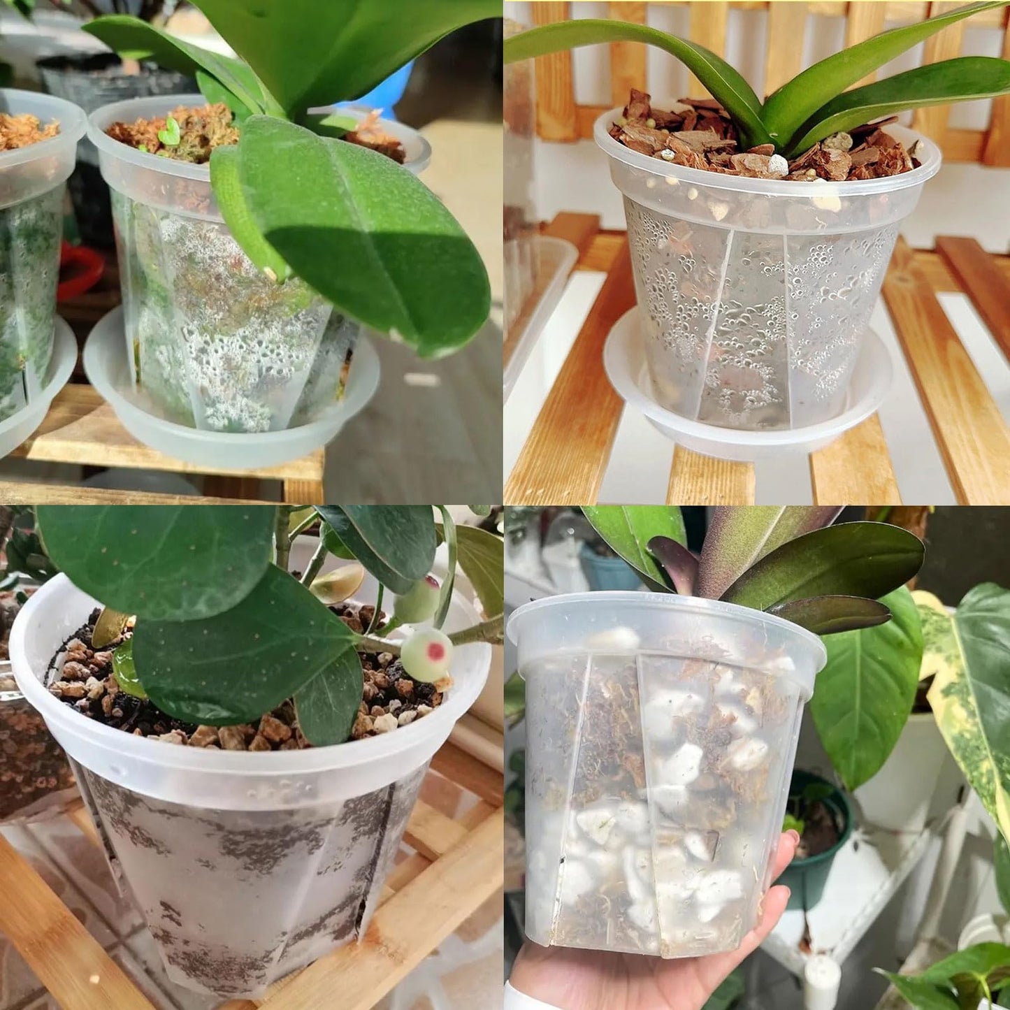 IWNTWY Plant Pots 7/6/4.7 Inch Set of 6, Clear Plastic Nursery Pots with Drainage Holes and Saucers, Flowers Planter Pots for Indoor Outdoor Plants (Variety Size, Clear)