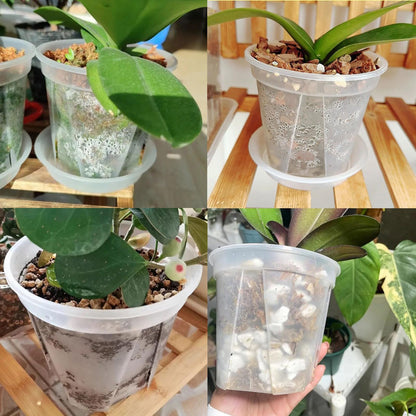 IWNTWY Plant Pots 7/6/4.7 Inch Set of 6, Clear Plastic Nursery Pots with Drainage Holes and Saucers, Flowers Planter Pots for Indoor Outdoor Plants (Variety Size, Clear)