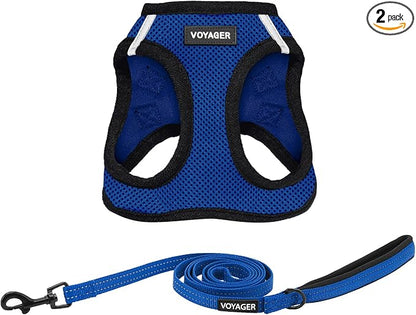 Best Pet Supplies Voyager Step-in Air All Weather Mesh Harness and Reflective Dog 5ft Leash Combo with Neoprene Handle, for Small, Medium and Large Breed Puppies - Royal Blue/Black Trim, X-Large
