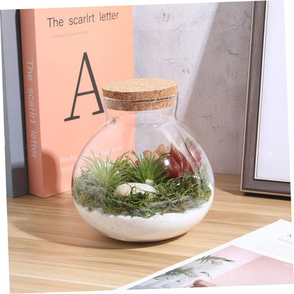 BESPORTBLE Glass Moss Bottle Empty Glass Jar Moss Crafts Home Decor Plant Terrarium
