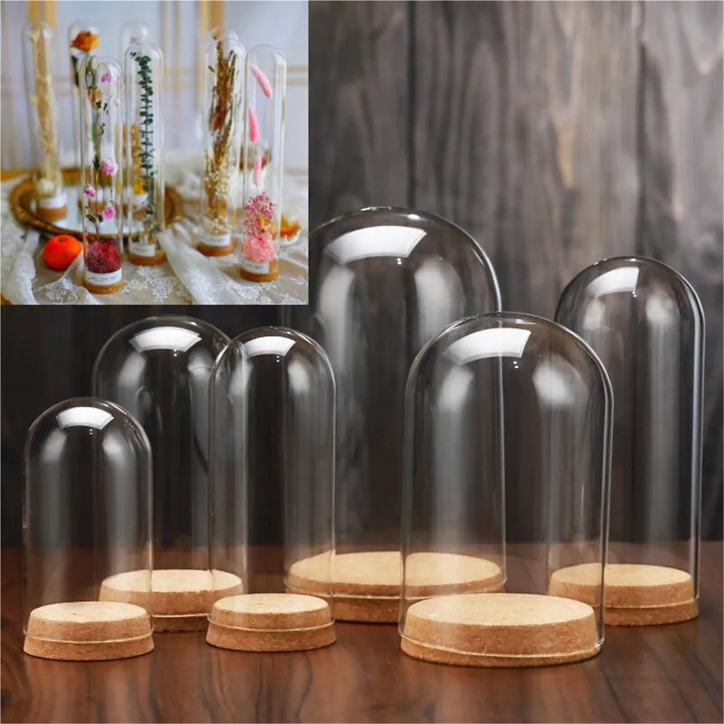 10X Da30mm Glass Bottle Terrarium Jar Cork Base Dome Dust Cover DIY Specimen Succulent Plant Micro Landscape Flower Vase Display(30x180cm)