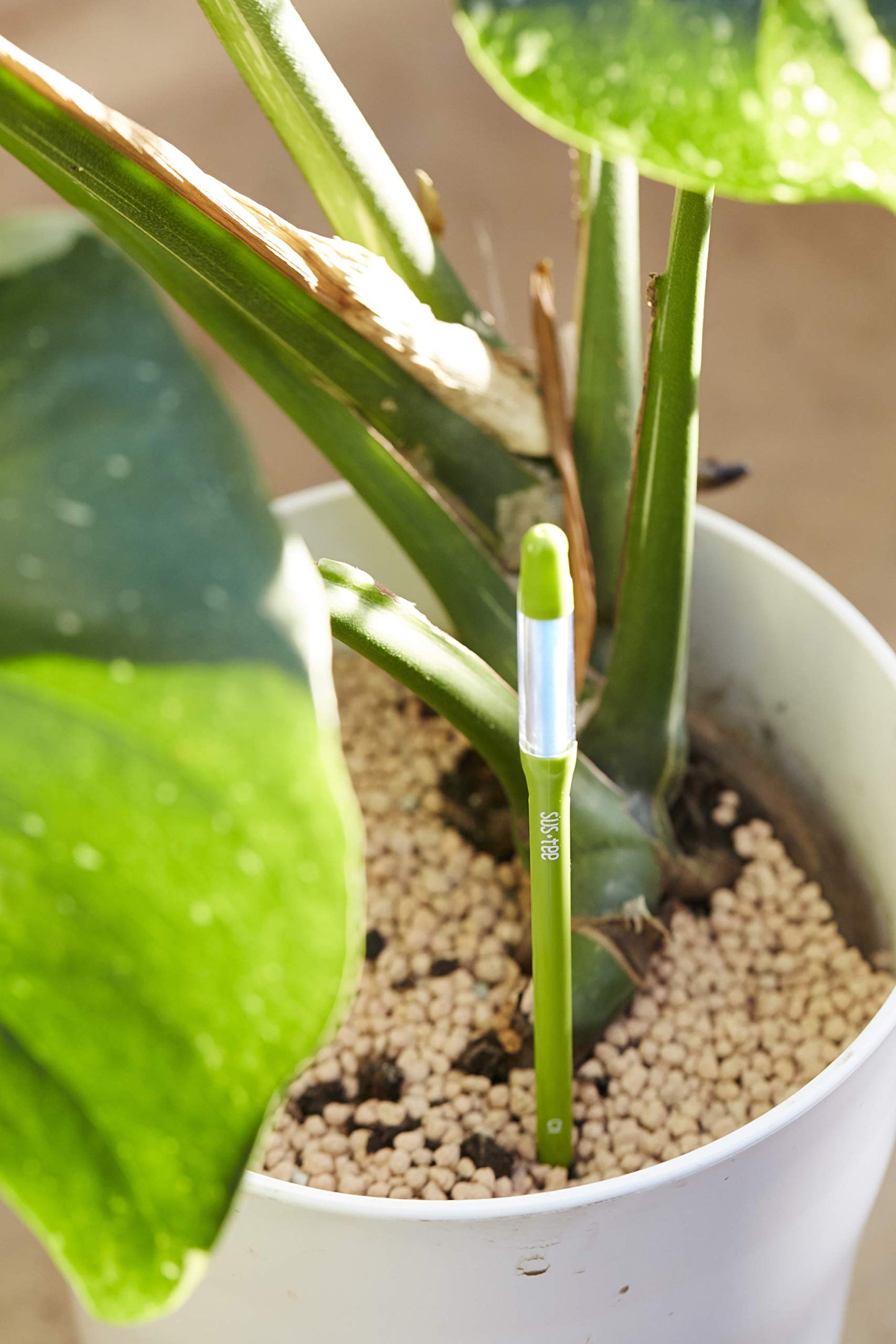Sustee Aquameter (Large Green Refillable - Bundle of 2) - House Plant Soil Moisture Meter, Humidity Sensor Probe, Water Level Indicator - Best for Indoor Potted Plants