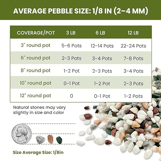 1/8 Inch Natural Aquarium Gravel, Small Pebbles for Fish Tank, Indoor Plants & Succulents, Mixed Color Mini River Rocks for Drainage, Terrarium, Top Dressing & Vase Filler, 6 lb