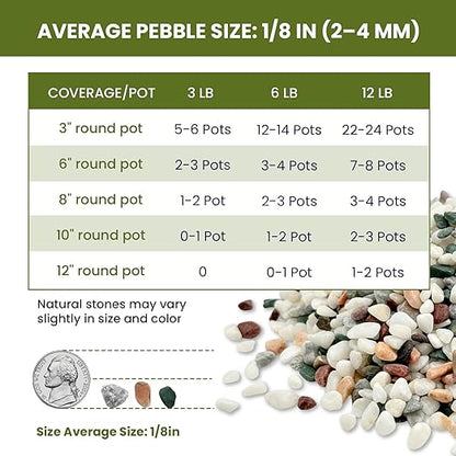1/8 Inch Natural Aquarium Gravel, Small Pebbles for Fish Tank, Indoor Plants & Succulents, Mixed Color Mini River Rocks for Drainage, Terrarium, Top Dressing & Vase Filler, 12 lb