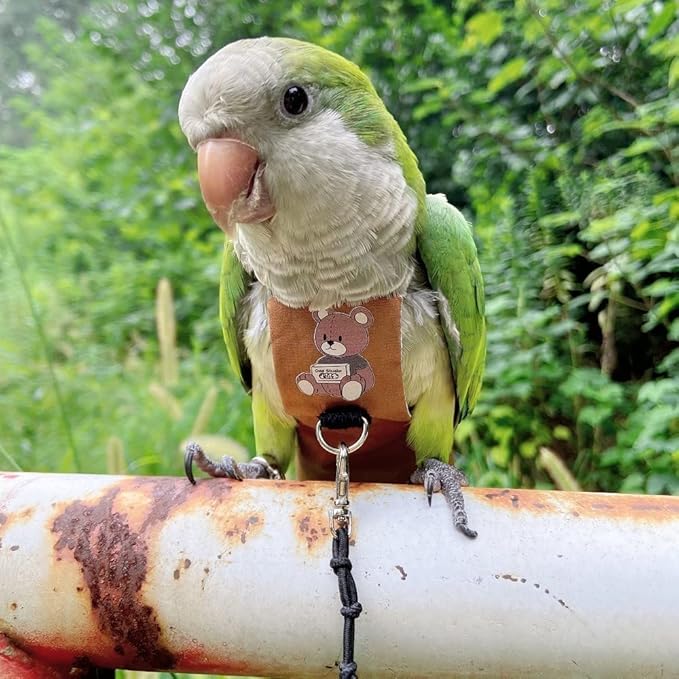 Bird Diaper Harness Flight Suit Clothes, Parrot Flight Suit with Leash for Parrot, Bird Flying Clothes with Rope and Handle for Outdoor Activities Training (Green-cheeked Conure,with Leash)