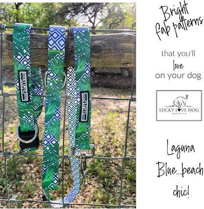 Lucky Love Dog Martingale Collar and Leash Set, Premium No Slip Martingale Collar for Medium Boy Dogs, Great for Whippets, Greyhounds, and More (Medium, Blue Laguna - Combo)