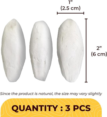 SunGrow 3 Pack Cockatiel Cuttlefish Bone, Calcium Addition to Bird Beak Care, Cage Mount Holder NOT Included, Support Shell Strength, Turtle, Shrimp, Dog, Snail, Aviary Clip, Accessory Reptile