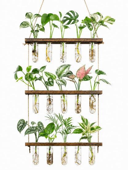 Monsiter QE 3 Tier Wall Hanging Propagation Stations with 15 Glass Test Tubes, Plant Terrarium Propagation Tubes Planter for Hydroponic Cuttings, Window Decor Gift for Plant Lovers