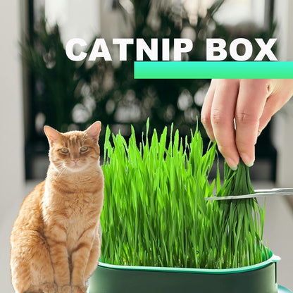 LIFTATAPA 3Pcs Cat Grass Planter, Plastic Wheatgrass Planting Trays Hydroponic Cat Grass Growing Kits for Indoor Cats Soilless Nursery Box Pet Grass Pot (3 Color)