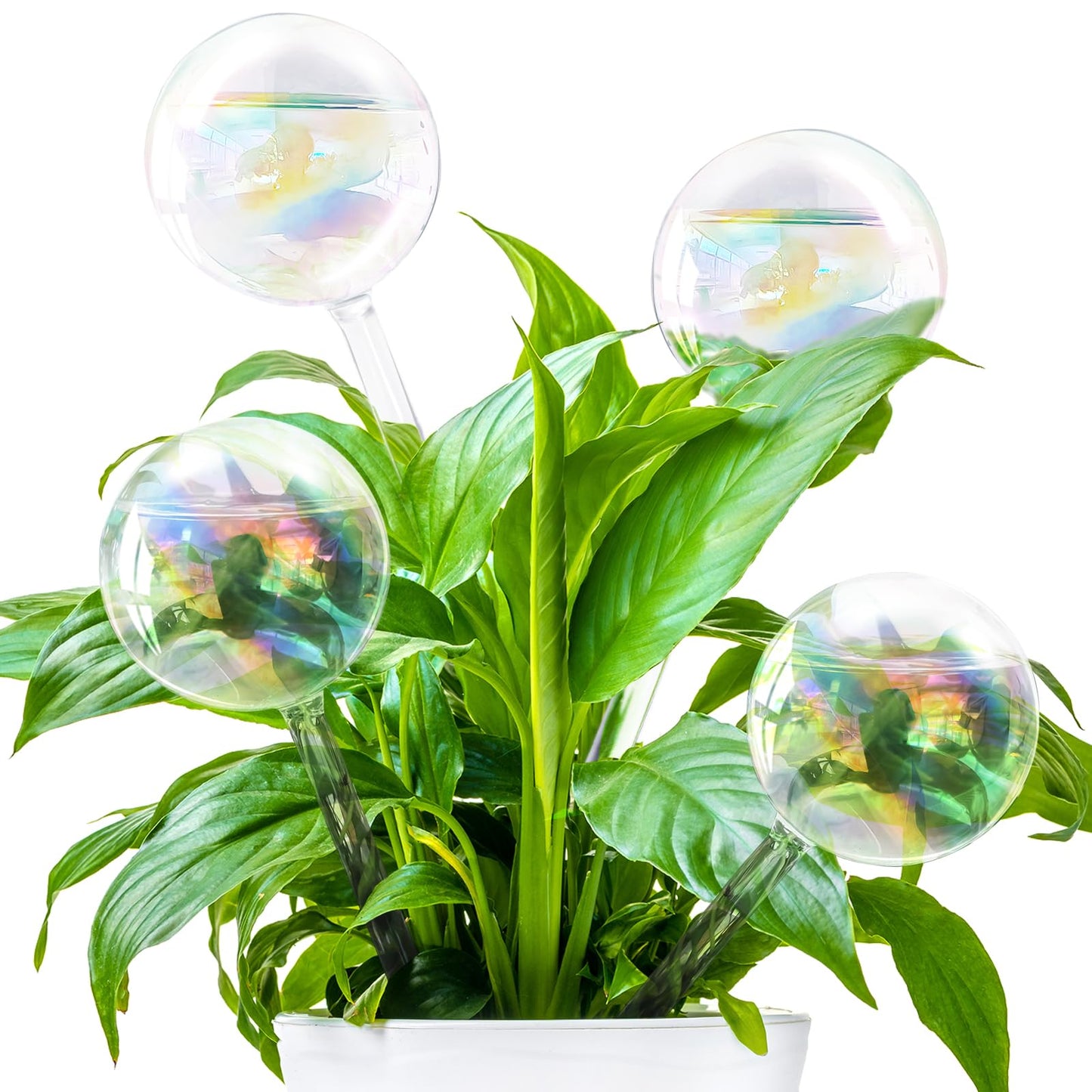 Pynqdfu 4 Pcs Plant Watering Globes,Rainbow Gradient Glass Watering Devices,Self Watering Planter Insert Plant Accessories for Indoor,Outdoor,Flowerpot,Hanging Plants,Home Garden,8.7" L×2.8" D