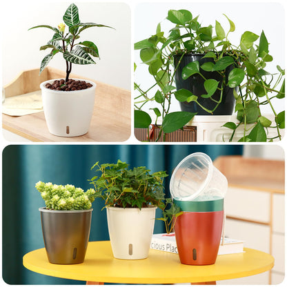 KvyusFlourish Self Watering Pots for Indoor Plants, 6-Pack 5'' Self Watering Planter with Drainage Holes, Small African Violet Pots with Water Indicator, Clear Wick Orchid Pot, Black