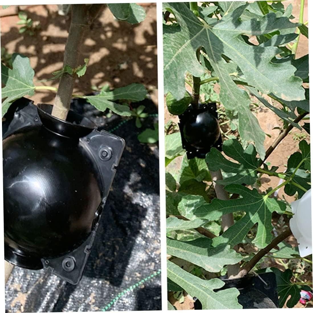 Weicoca 5Pcs Black Plant Rooting Device -Air Layering Pods - High-Pressure Propagation Ball Rooter Box for Garden -Reusable Plant Rooting Device Plant Rooting Grow Box