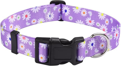 MarukoPet Dog Collar, Adjustable for Small Medium Large Dogs Puppy, Cute Design with Bohemia Floral Tribal Geometric Patterns Boys Girls Dog Collar(Purple Daisy-L)