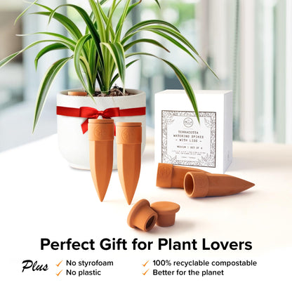 The Olla Company Plant Watering Spikes with Lids - Ideal for 5”-9” Pots - Vacation Friendly - Terracotta - Medium - Set of 4