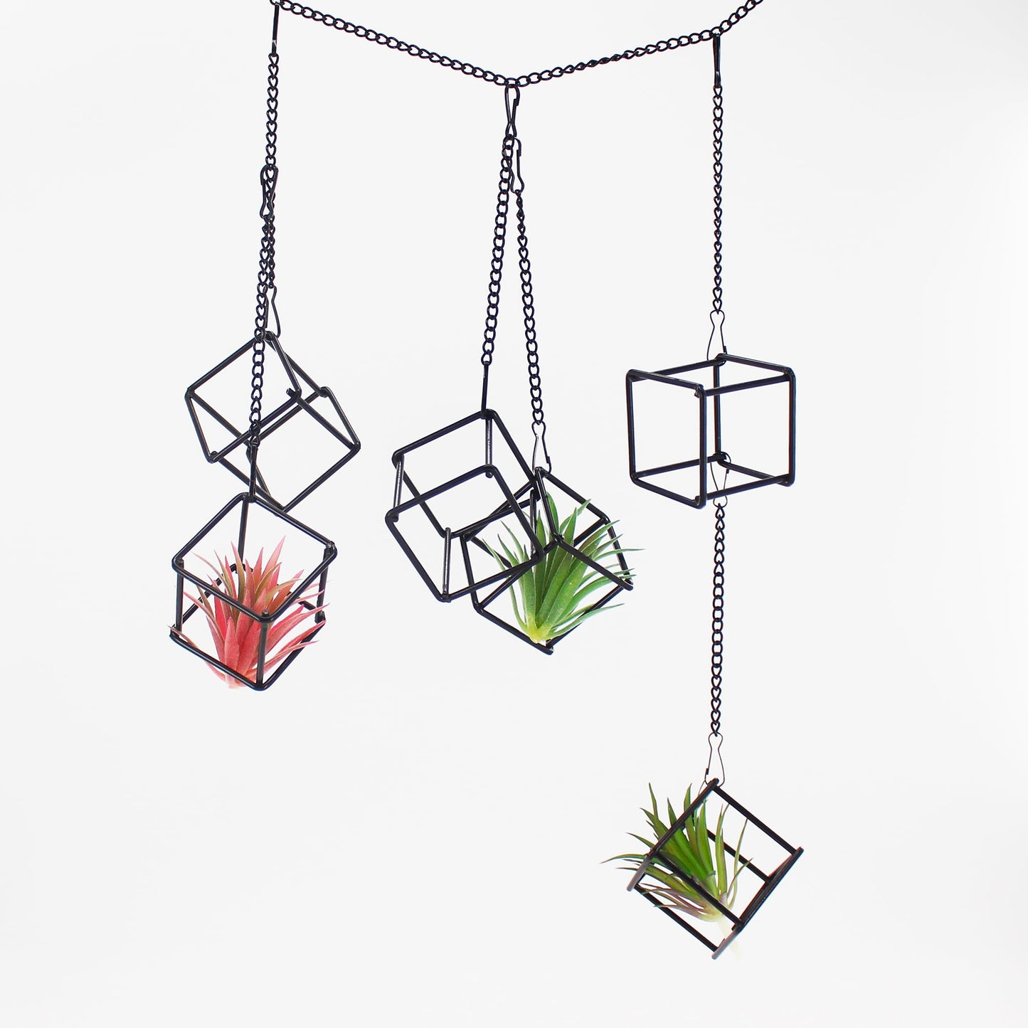 6 Pack Metal Hanging Air Plant Holders - Geometric Black Cube Tillandsia Hangers with Long Chains, Wall or Ceiling Mount for Small Air Plants, Home & Office Boho Decor (Individual or Combined Use)