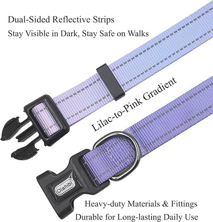 Dog Collar Leash Set, Gradient Color, with Safety Reflective Strips, 5 ft Matching Leash, Neoprene Padded Handle, Adjustable 4 Sizes for Small Medium Large Dogs.(M, Lilac Pink)