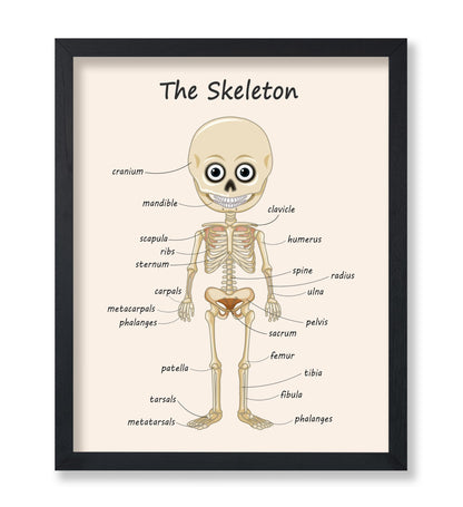 Poster Master The Skeleton Poster - Human Skeleton Print - Learning Materials Art - Science Art - Gift for Students & Teacher - Fun Decor for Classroom, Library or Nursery - 8x10 UNFRAMED Wall Art