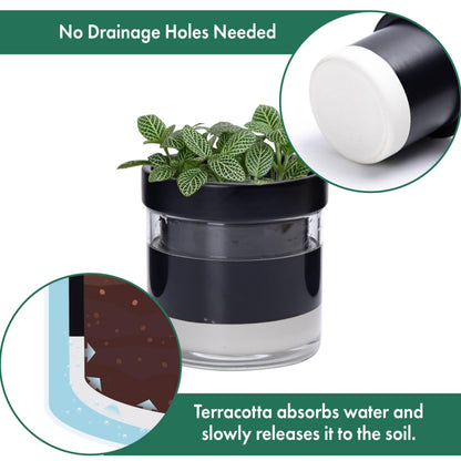 Phoenix Vine 4 Inch Self Watering Planter Pot, Black Terracotta Clay Pot with Glass Reservoir for Indoor Plants, Herbs, Flowers, Set of 3, 52-C-E-3