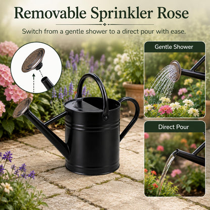1 Gallon Metal Watering Can for Indoor Outdoor Plants, Galvanized Steel Watering Can with Removable Spout, 2 Stainless Steel Handles, Garden Flower Watering Pot