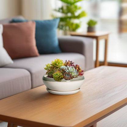 SQOWL Succulent Planters - 6 Inch Ceramic Bonsai Pots, Shallow Planter with Drainage Hole and Saucer, Round Planter for Indoor Outdoor, Cactus Succulent Pots, Desk Decor, Garden Gifts, Gray-Beige
