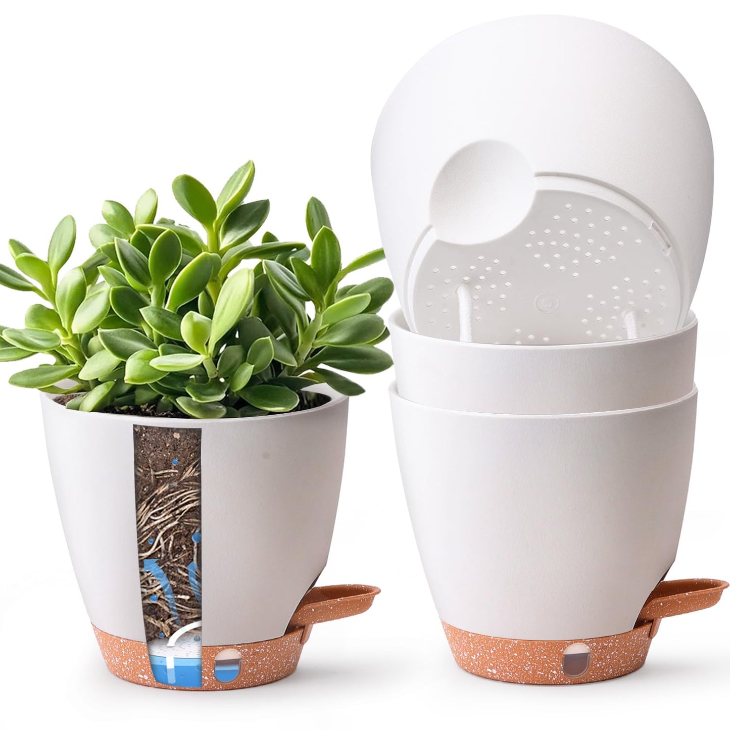 T4U 4 Pack 6 Inch Self Watering Pots - Water Level Indicator & Deep Reservoir, Mess-Free Planter for Busy People, Beginners & Gardeners, Fit Herbs/Pothos/Succulents Plants, Indoor Outdoor Use (White)