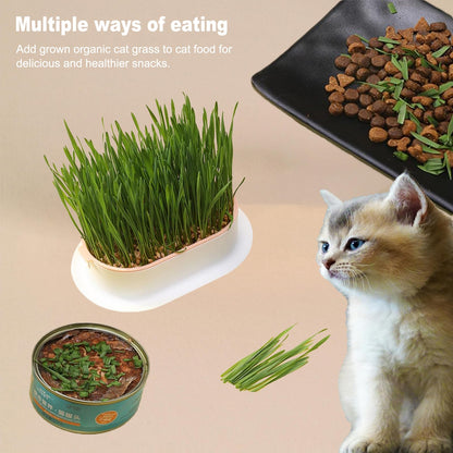 LIFTATAPA 3Pcs Cat Grass Planter, Plastic Wheatgrass Planting Trays Hydroponic Cat Grass Growing Kits for Indoor Cats Soilless Nursery Box Pet Grass Pot (3 Color)