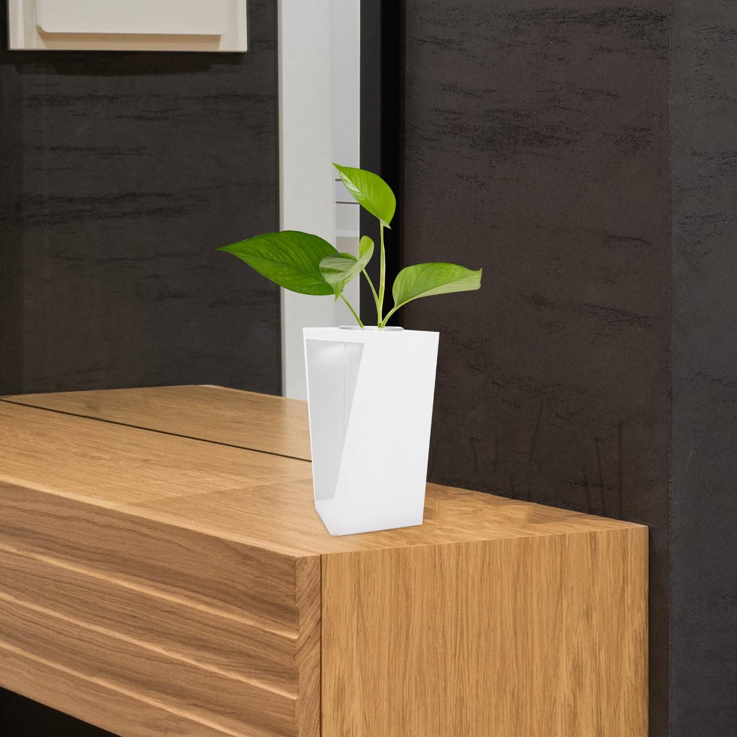 Hemobllo Nordic Style Wooden Frame Glass Propagation Vase Test Tube Planter for Indoor Hydroponic Plants White Holder Home Décor Terrarium Container