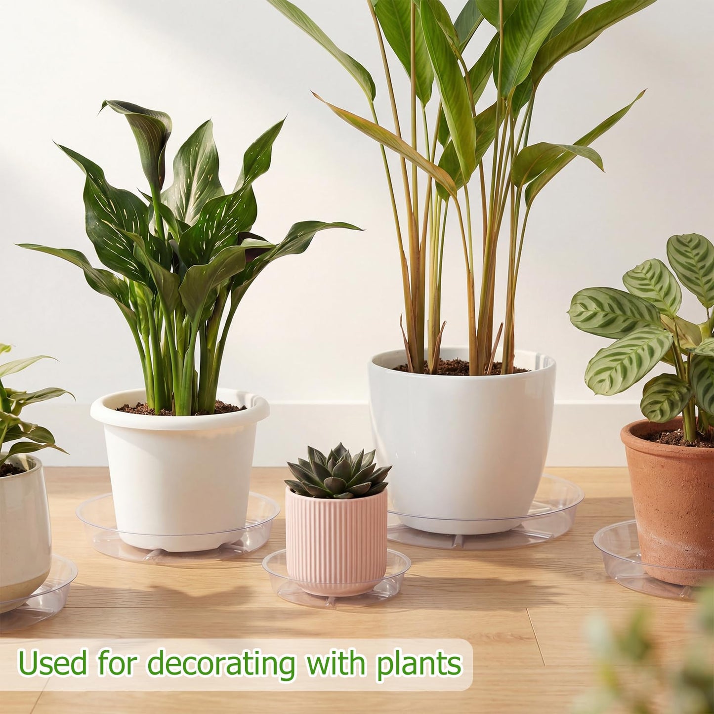 Gejoy 40 Pack Plant Saucers 6inch /8inch /10inch, Heavy Sturdy Plastic Plant Trays for Pots, Clear Drip Trays Water Catcher Flower Pot Saucers for Indoor Outdoor, Prevent Water Overflow