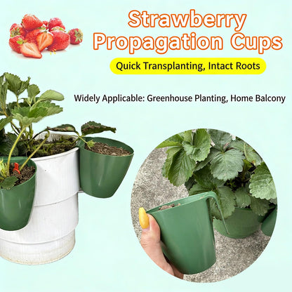 Kangnice Propagation Cup Set Featuring Food Grade and Runner Forks Ideal for Strawberry Runners and Seedling Cultivation Strawberry Fixing Fork