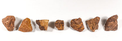 HQRP 10PCS Elephant Skin/Mariam Jasper Rough Stones Natural Fossil Coquina Jasper Crystal Arabic Calligraphy Mineral Rocks - India