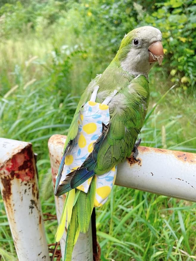 Bird Diaper Harness Flight Suit Clothes, Parrot Flight Suit with Leash, Bird Flying Clothes with Rope and Handle for Outdoor Activities Training (Yellow Without Leash,Medium)