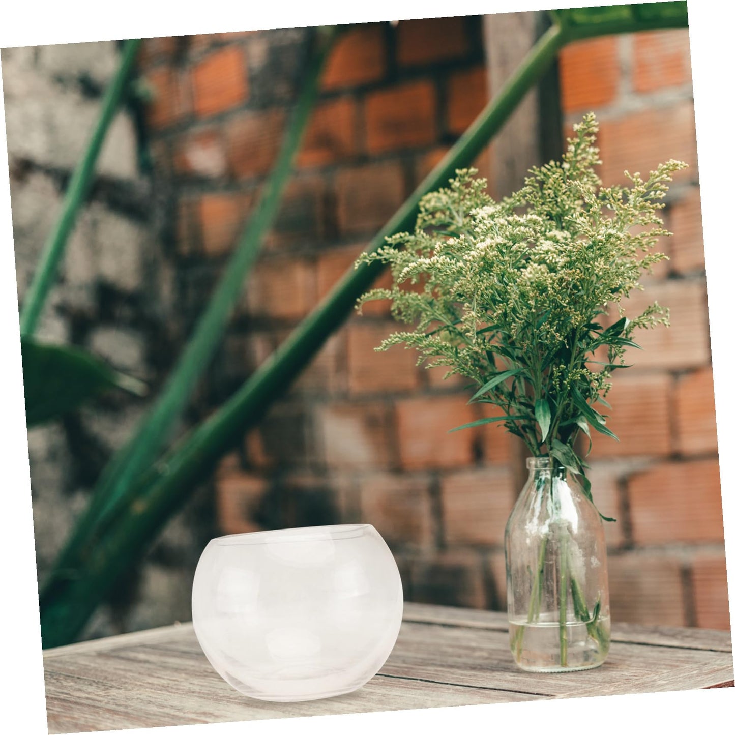 Uonlytech Transparent Glass Hydroponics Flower Vase Terrarium Pot Decorative Plant Holder for Home Office Hotel Desktop Ornament
