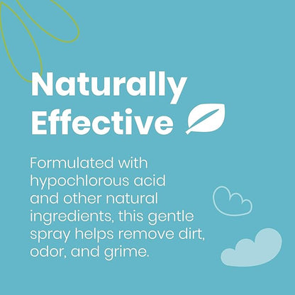 Good Salt Pet Bird Feeder & Birdhouse Cleaner, Natural Bird-Friendly Spray Formula, Made in the USA, 32 Ounce Bottle, 2-Pack