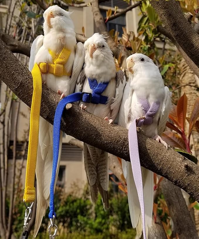 Bird Harness Leash Adjustable Outdoor Training Flying Harness Traction Rope with Cute Wing for Parrots Pigeons Budgerigar Lovebird Cockatiel Mynah (S,Blue)