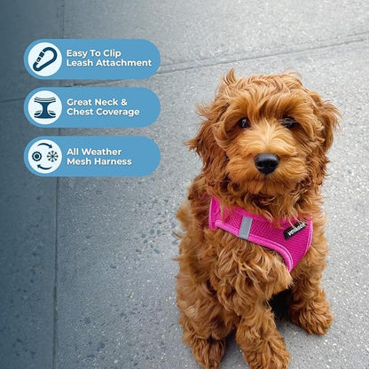 Best Pet Supplies Voyager Step-in Air All Weather Mesh Harness and Reflective Dog 5ft Leash Combo with Neoprene Handle, for Small, Medium and Large Breed Puppies - Fuchsia, X-Large