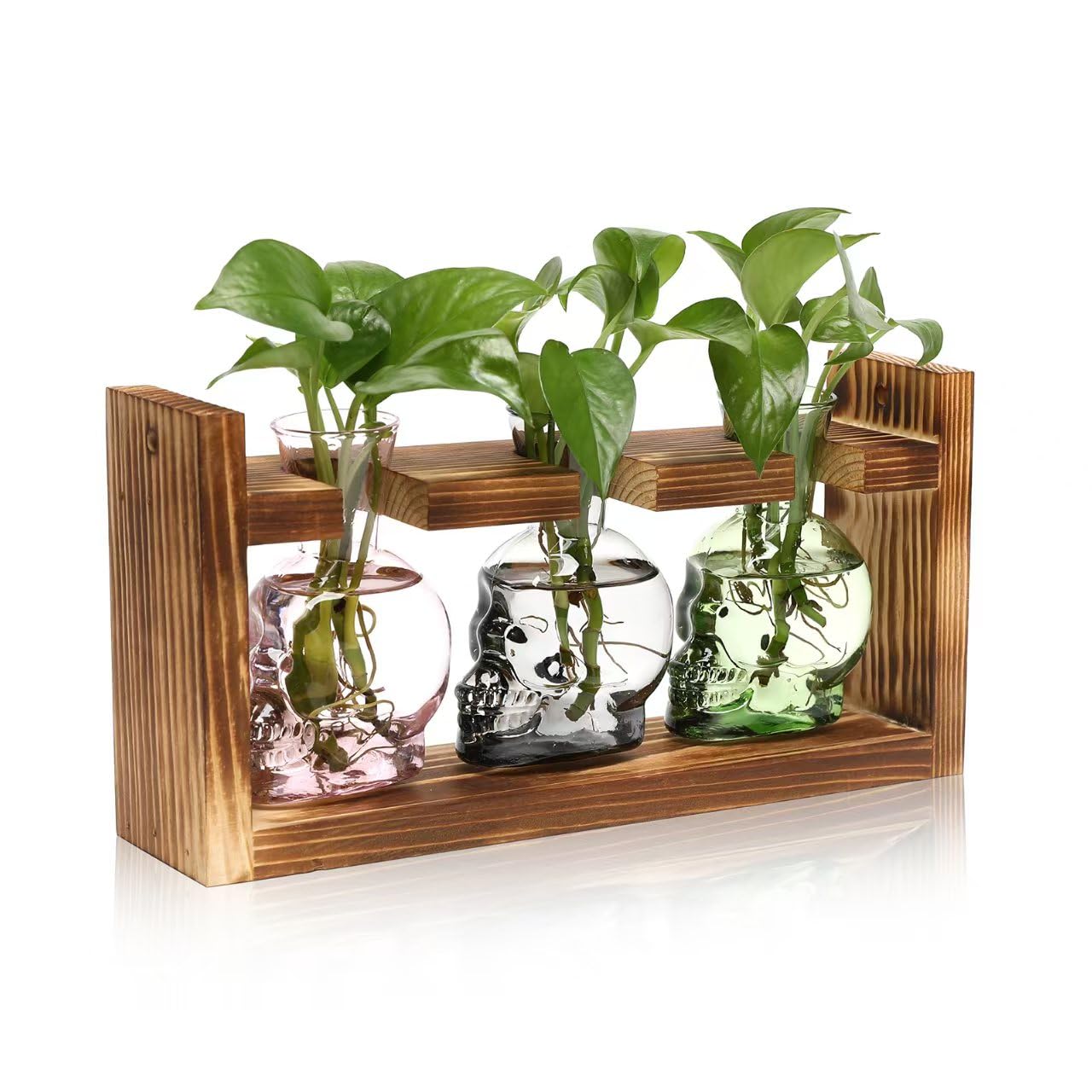Plant Terrarium Propagation Stations Hydroponics Halloween Skull Planter Vase Skulls Decor with Wooden Stand Gife for Father
