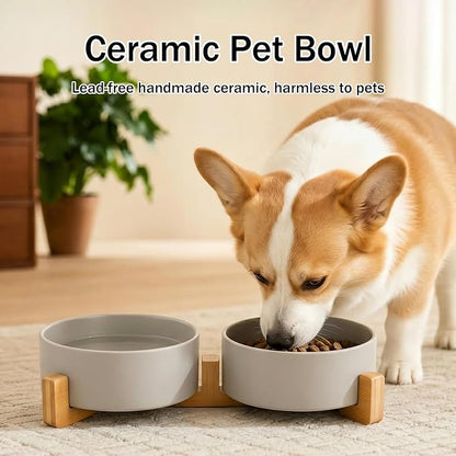 MateeyLife Ceramic Dog and Cat Bowls with Stand, 2-Pack Food and Water Bowl Set - Non-Slip Pet Bowls for Small & Medium Size Dogs，28.7OZ(Grey)