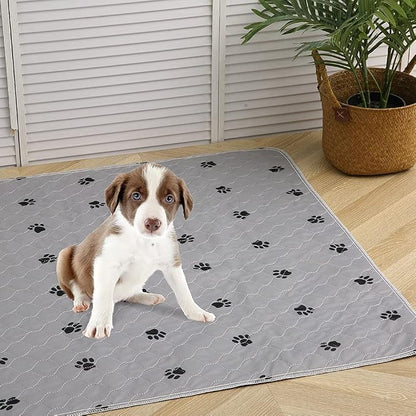 PUPTECK Washable Pee Pads for Dogs - 2 Pack 48" x 60" Waterproof Reusable Puppy Potty Training Pads Whelping Mat - Fast Absorption Non-Slip Pet Food Feeding Mat - Pad for Small Animals