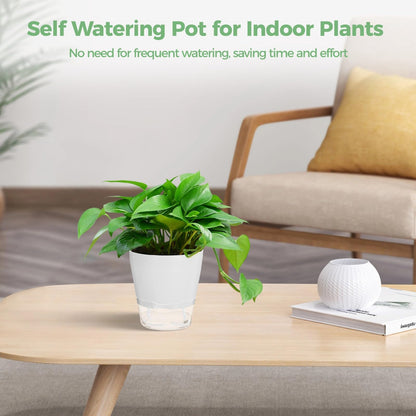 Skdqiee 12 PCS Self Watering Succulent Pots, 6 in Flower Planters with Clear Saucer Reservoir, Home Office Plastic Flower Pots with Wick Rope, White