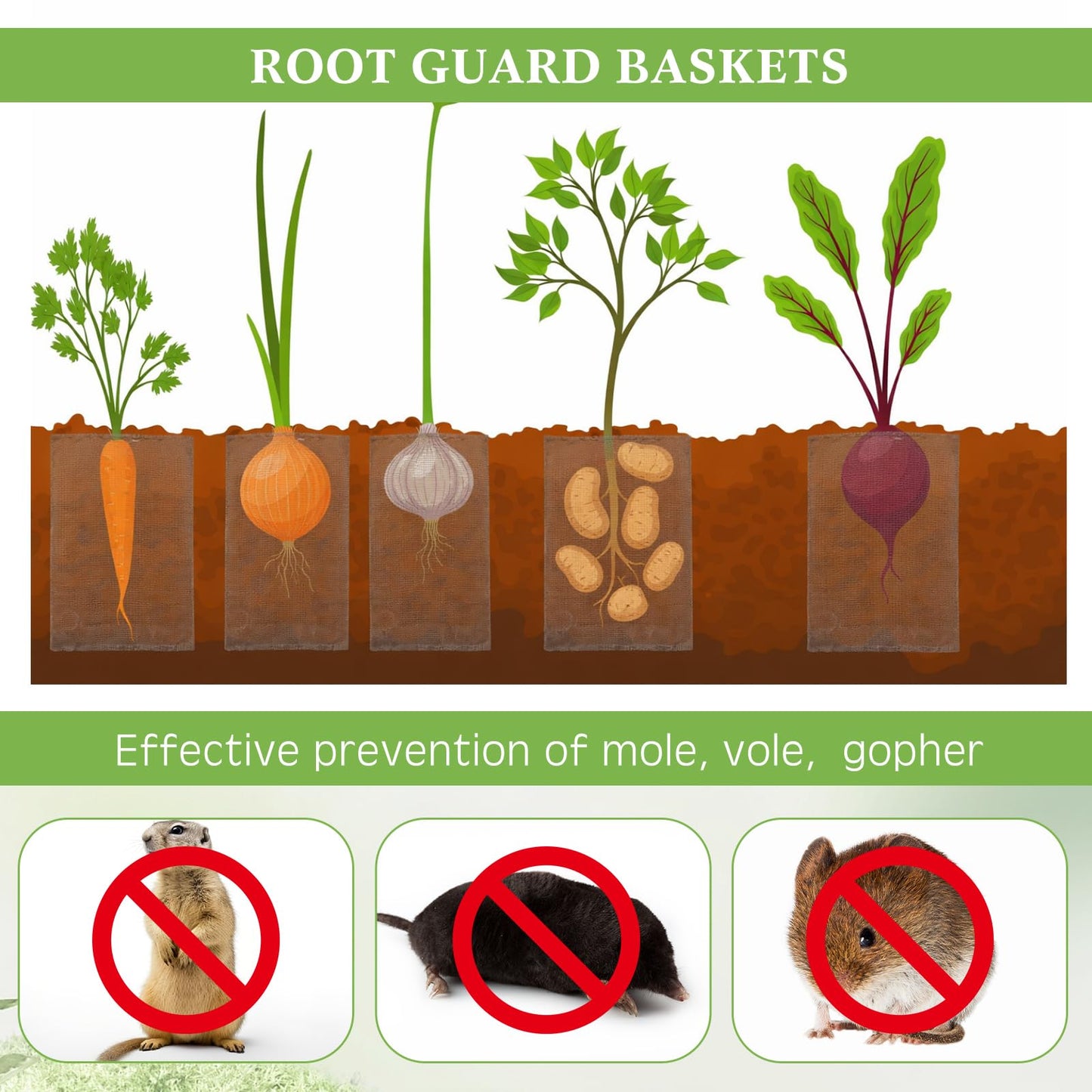 Yaocom 12 Pcs 1 Gallon Heavy Duty Gopher Wire Baskets Stainless Steel Hexagonal Galvanized Mesh Cages Gopher and Vole Wire Basket for Shrubs Vines Bushes Plant Root Protection